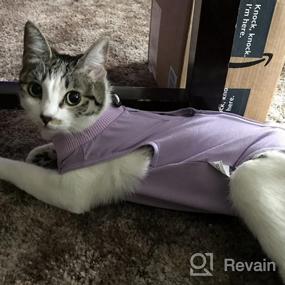 img 6 attached to Cat Surgery Recovery Suit: Surgical Abdominal Wound Protection For Indoor Pets - E-Collar Alternative Post-Surgery Pajama Suit