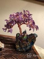 img 1 attached to Rose Quartz Crystal Bonsai Money Tree With Fluorite Base For Wealth And Luck review by Dan Pal