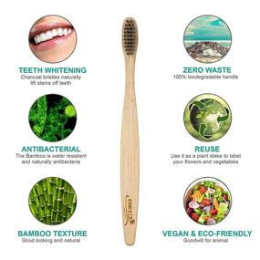 img 2 attached to 🌿 Environmentally Friendly Compostable Toothbrushes & Accessories by EveEco - Sustainable Oral Care