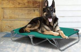 img 1 attached to Durable Steel Frame Pet Cot - Foldable, Lightweight And Portable For Dogs & Cats | GigaTent Elevated Bed For Comfortable Play & Rest.