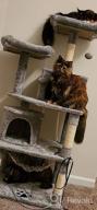 img 1 attached to Ultimate Playhouse For Your Feline Friend: BEWISHOME Cat Tree With Scratching Posts, Condos, Hammock, And Toys In Grey review by Brian Carrizales