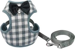 img 3 attached to 🐾 Rypet Small Dog Harness and Leash Set - No Pull Pet Vest with Soft Mesh Nylon for Small Dogs and Cats, Gray M