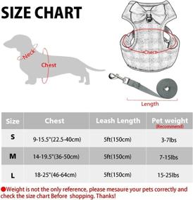 img 2 attached to 🐾 Rypet Small Dog Harness and Leash Set - No Pull Pet Vest with Soft Mesh Nylon for Small Dogs and Cats, Gray M