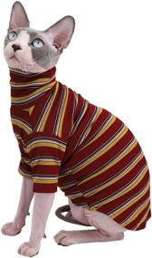 img 4 attached to 🐱 Vintage Stripes Sphynx Hairless Cat Cute Summer Cotton T-Shirts: Breathable Pet Clothes for Cats & Small Dogs