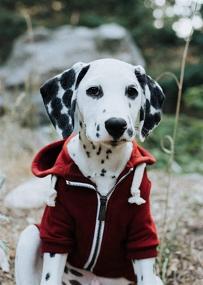 img 1 attached to 🐶 Maroon Red Dog Hoodie with Zipper, Hook &amp; Loop Pockets, and Adjustable Drawstring Hood - Extra Small to Extra Large Sizes. Ellie's Cozy and Versatile Adventure Dog Hoodies