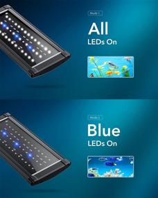 img 1 attached to 🐠 High-Performance LED Aquarium Light: Extendable Brackets, Full Spectrum, White and Blue LEDs for Vibrant Aquatic Reef Coral Plants and Freshwater Fish Tank