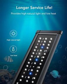 img 3 attached to 🐠 High-Performance LED Aquarium Light: Extendable Brackets, Full Spectrum, White and Blue LEDs for Vibrant Aquatic Reef Coral Plants and Freshwater Fish Tank