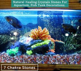 img 1 attached to 🌈 Enhance Harmony and Balance with MAIBAOTA 7 Chakra Healing Crystals Stones - Perfect Decorative Pebbles for Aquariums, Vases, and Fish Tanks (200g)