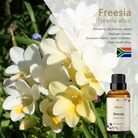 img 3 attached to Freesia Essential Oil, ESSLUX Aromatherapy Essential Oils For Diffuser, Massage, Soap, Candle Making, Perfume, 30 Ml