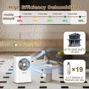 img 3 attached to 🌧️ Efficient Basement Dehumidifiers with COLAZE Drainage Function: Reducing Dampness and Moisture
