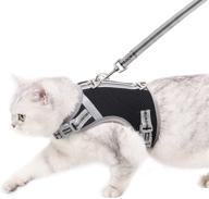 🐱 pangdi escape proof cat harness and leash set for walking logo