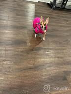 img 1 attached to Didog Winter Small Dog Coats: Waterproof, Warm & Harness Compatible For Puppy & Cat Walking Hiking - Red (Chest 13") review by Sean Young