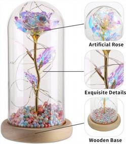 img 2 attached to FAVIA Beauty And Beast Rose In Glass Dome For Her Искусственная Forever Rose Mom Women Подарки на Рождество Годовщина свадьбы Подарок на день рождения Романтический домашний декор (серебро)