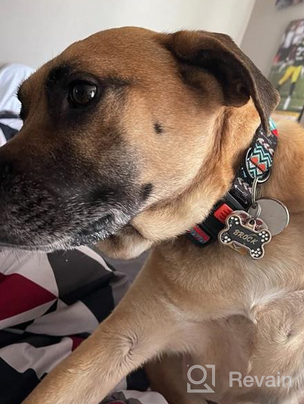 img 1 attached to Trendy Yet Practical: Adjustable Tribal Dog Collar With A Quick Release Buckle For Small To Large Breeds review by Brad Bryant
