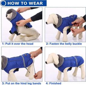 img 1 attached to Warm Dog Coat Reflective Dog Winter Jacket - Waterproof Windproof Turtleneck Clothes for Cold Weather, Fleece Lined Pet Outfit - Adjustable Vest Apparel for Dogs (Small, Medium, Large)