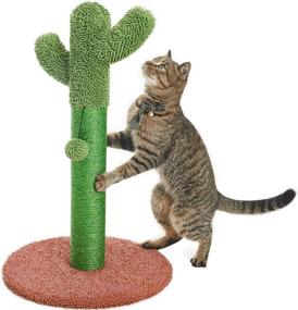 img 4 attached to 🌵 Brown Cactus Cat Scratching Post - Catinsider 25.6" with Dangling Ball for Optimal SEO