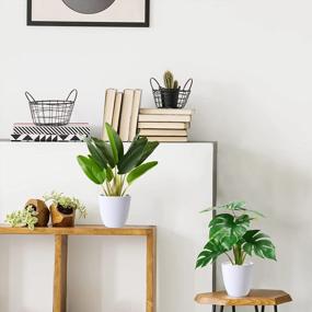 img 1 attached to Enhance Your Home Decor With Lifelike Artificial Plants - 2 Pack Of 16'' Faux Bird Of Paradise And Monstera Deliciosa Plants From KiddosLand