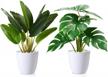 enhance your home decor with lifelike artificial plants - 2 pack of 16'' faux bird of paradise and monstera deliciosa plants from kiddosland logo