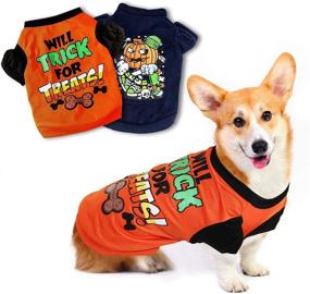 img 4 attached to 🎃 YUEPET 2 Pack Halloween Dog Shirts: Adorable Pet Costumes for Small Dogs and Cats