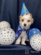 img 1 attached to Celebrate Your Pup'S Big Day With TCBOYING'S 11-Piece Dog Birthday Set – Blue Bandana, Hat, Scarf, Flags, Balloons & More! review by Tony Jockheck
