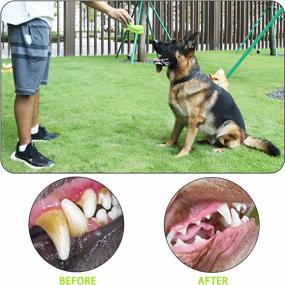 img 2 attached to Прочная и прочная жевательная игрушка в форме обуви для крупных собак, уменьшающая образование зубного налета и зубного камня, резиновая скрипучая жевательная игрушка для чистки зубов, AikoPets (травяно-зеленый цвет)