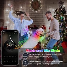 img 2 attached to 🐶 Mutovlin LED Dog Collar - Bluetooth APP, Multi-Color RGB Light Up Collar, USB Rechargeable & Waterproof for Night Safety