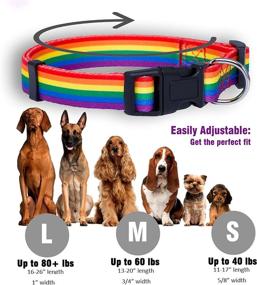 img 2 attached to 🌈 Rainbow Flag Dog Collar for Gay Pride Parade - LGBTQ Flags Equality Pet Apparel & Decor, Ideal Gift and LGBT Ally Accessory