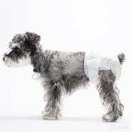 eco-clean disposable female dog diapers - 30 pcs, absorbent with wetness indicator, suitable for dogs of all sizes logo