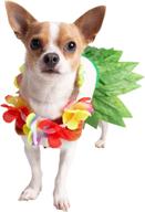 pet krewe hawaiian celebrations halloween логотип