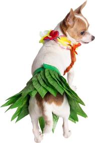 img 2 attached to Pet Krewe Hawaiian Celebrations Halloween