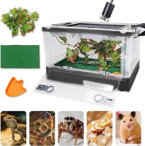 img 4 attached to 🦎 RunDuck Foldable Reptile Terrariums Kits: Portable, Heat-Resistant and Ideal for Lizard, Tortoise, Leopard Gecko - Perfect Gift for Kids