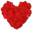 red silk rose petals wedding favors - 1000 pieces for parties and events logo