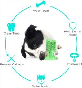 img 3 attached to CEESC Dog Toothbrush Chew Toys Dog Teeth Cleaning Stick ,Puppy Brushing Dental Oral Care For Small Medium Large Dogs (Green)