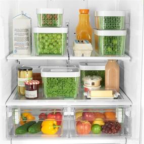 img 1 attached to Enhance Freshness with OXO GreenSaver Produce Keeper 🥬 - Small - Green: Keep Your Produce Crisp and Delicious!