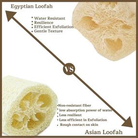 img 1 attached to 🌿 Egyptian Natural Scrubber: Elevate Your Personal Care with Premium Exfoliation