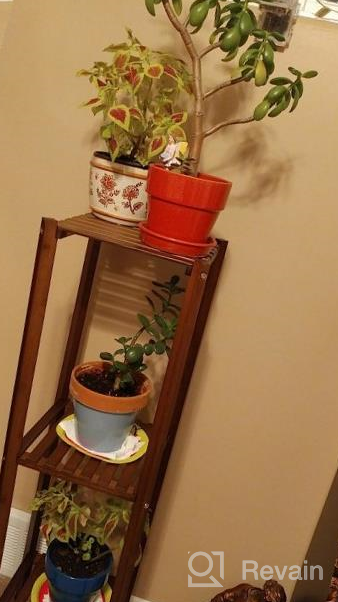 img 1 attached to Indoor Outdoor Bamboo Plant Stand Rack With 2 Tiers - Multiple Flower Pot Holder Shelf For Patio Garden - Perfect Planter Display Shelving Unit review by Kurt Ahui