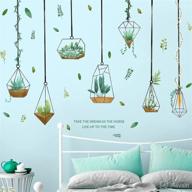 drwssr transparent removable succulents decoration логотип