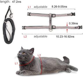 img 1 attached to AMOGATO Reflective Kitten Harness and Leash: Safe & Stylish Walking Gear