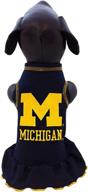 michigan wolverines collegiate cheerleader x small logo