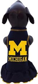 img 2 attached to Michigan Wolverines Collegiate Cheerleader X Small