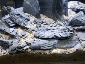 img 2 attached to Large 5-7 Inch Natural Slate Stones - PH Neutral for Ideal Aquascaping, Igwami Aquariums, Reptile and Amphibian Enclosures, Stone Carving Crafts (10 lbs)