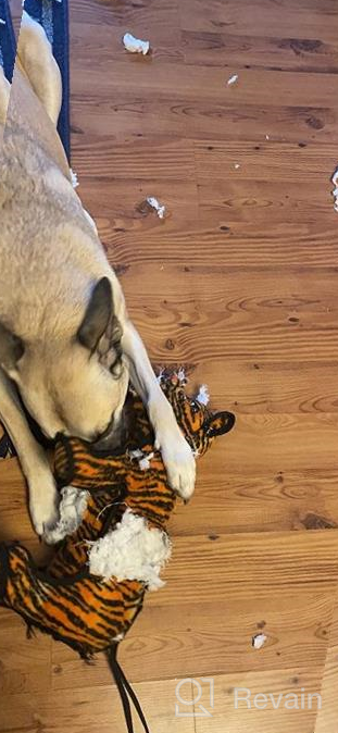 img 1 attached to 🐯 TUFFY - The Ultimate Soft Dog Toy: Zoo Junior Tiger - Unmatched Durability, Strength & Toughness. Interactive Play (Tug, Toss & Fetch). Machine Washable & Floats. review by Mark Repp