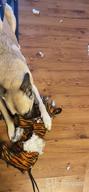 img 1 attached to 🐯 TUFFY - The Ultimate Soft Dog Toy: Zoo Junior Tiger - Unmatched Durability, Strength & Toughness. Interactive Play (Tug, Toss & Fetch). Machine Washable & Floats. review by Mark Repp
