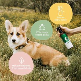 img 1 attached to 🐶 kin+kind Natural Dog Flea and Tick Prevention - Plant-Based Flea Shampoo + Spray Value Pack (12 fl oz) - Vet Formulated with Lavender, Coconut, and Peppermint - Made in the USA