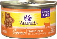 🐱 grain free wet cat food - wellness complete health, gravies, natural, adult, healthy, no wheat, corn, artificial flavors/colors/preservatives логотип