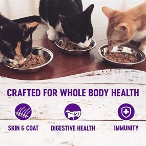 img 2 attached to 🐱 Grain Free Wet Cat Food - Wellness Complete Health, Gravies, Natural, Adult, Healthy, No Wheat, Corn, Artificial Flavors/Colors/Preservatives