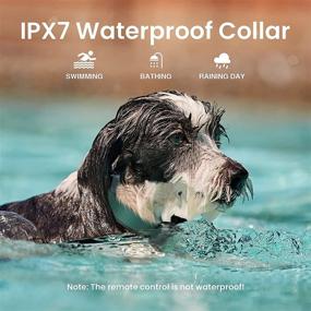 img 2 attached to MASBRILL Dog Training Collar: Remote-Controlled, Waterproof, & Adjustable for Medium to Large Dogs - Beep, Vibration, Shock Modes