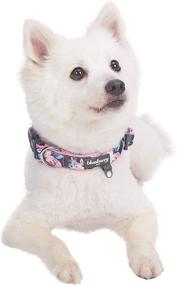 img 2 attached to 🌺 Blueberry Pet Cute Rose Flower Print Adjustable Dog Collar, Medium, Neck Size 14.5"-20" - Soft, Comfy & Padded