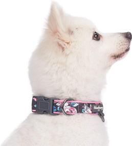 img 1 attached to 🌺 Blueberry Pet Cute Rose Flower Print Adjustable Dog Collar, Medium, Neck Size 14.5"-20" - Soft, Comfy & Padded