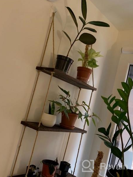 img 1 attached to 3 Tier White Wood Floating Shelves With Rope - Rustic Home Decor For Kitchen, Bathroom & Bedroom review by Evan Burnside